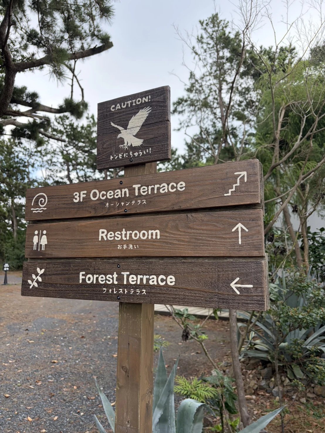 オーシャンテラスとフォレストテラスへの道しるべと、トンビ注意の看板