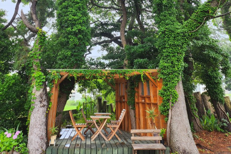 05_pops-forest-terrace